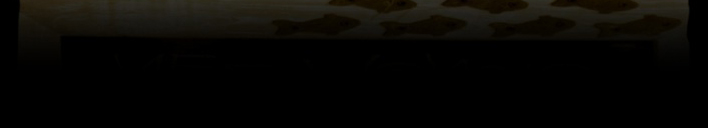 ForumBlog footpage